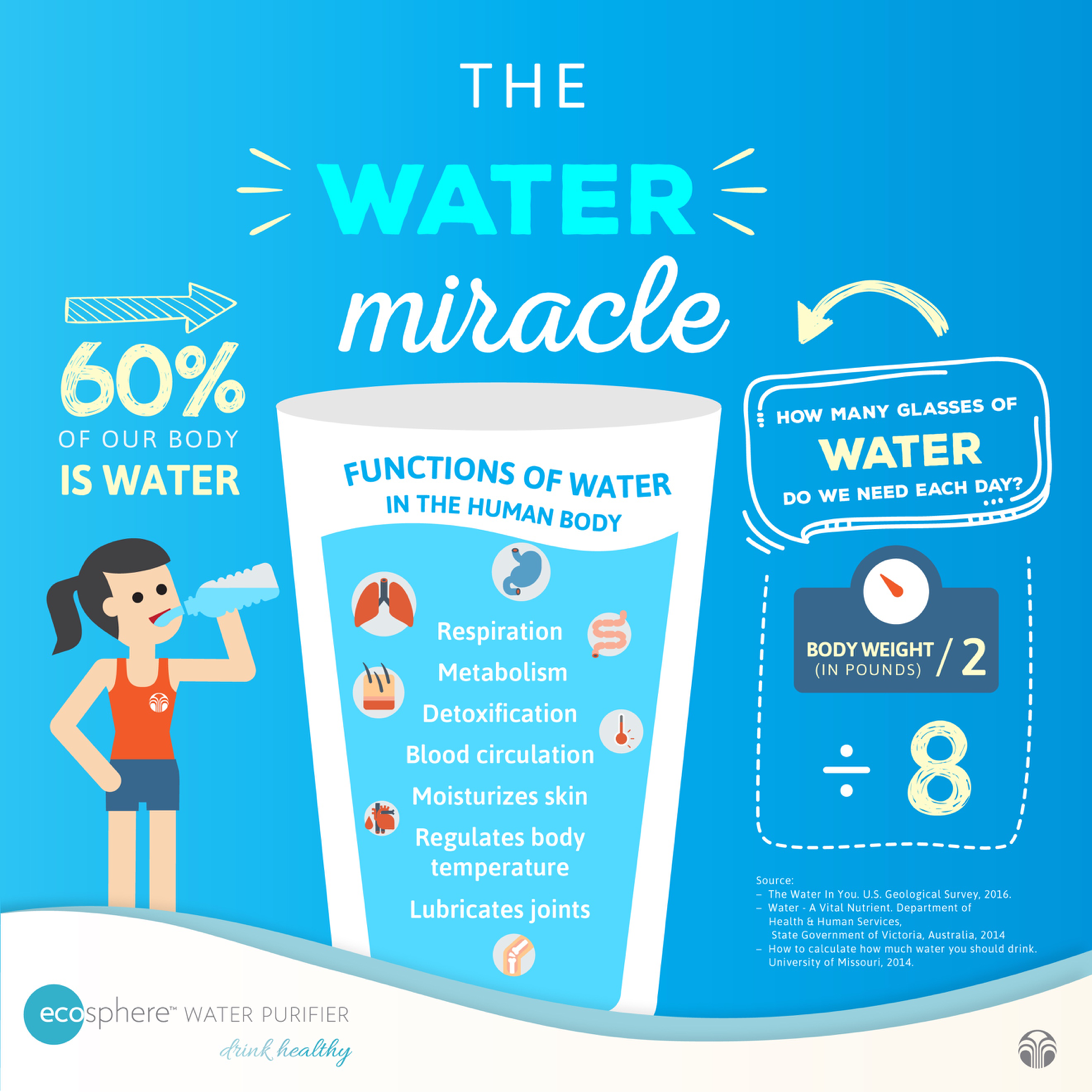The Water Miracle You’ve Been Waiting For The Source